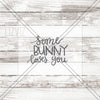 Some Bunny Loved You Cookie Stencil