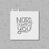 Nuts about you stencil cookies and crafts valentine stencil